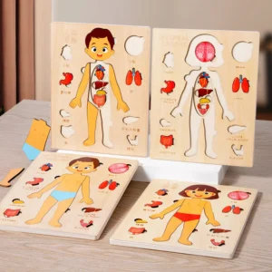 Montessori Puzzles Busy Board Human Body Teaching Learning Body Parts